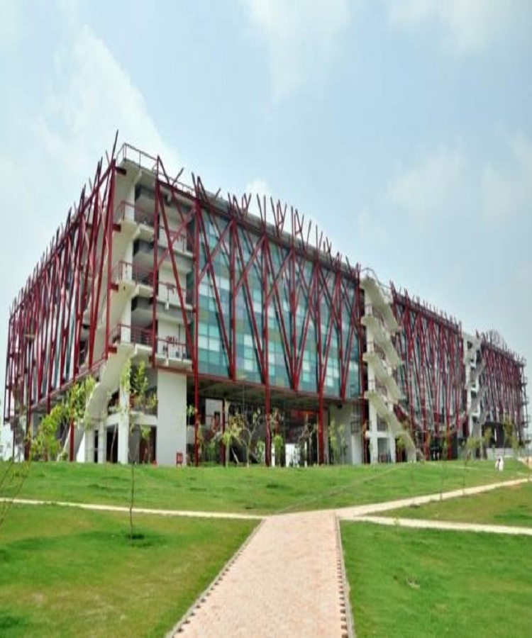 O P Jindal Global University